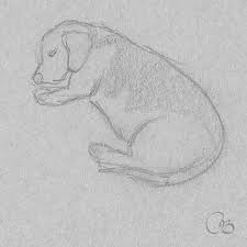 Dog Sketch Drawing Dog Sketch Dog Sketch Easy Sleeping Drawing