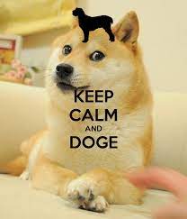 We hope you enjoy our growing collection of hd images to use as a background or home screen for your. Doge Meme Wallpaper Iphone Dogen Tapete 1200x1400 Wallpapertip