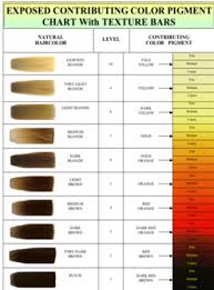 72 qualified bleaching hair color level chart