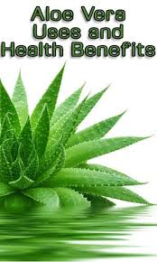 Health benefits of aloe vera. Aloe Vera Uses And Health Benefits Lifelivity Aloe Vera Uses Aloe Vera Aloe