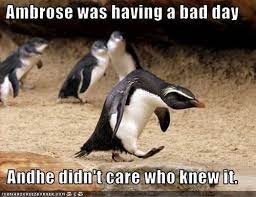 25 Mood Improving Memes For When You Re Having A Bad Day At Work Fairygodboss