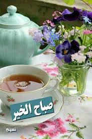 اللهم في هذا الصباح نسألك صدق التوكل عليك اللهم سخ ر جوارحنا لطاعتك و املأ قلوبنا بحبك اسعد ال Fake Flower Arrangements Fake Flowers Good Morning