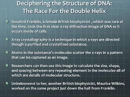 Overall, race for the double helix gives a fairly accurate depiction of the professional and personal struggles of a scientist. Dna Structure And Function Part 1 Ppt Download