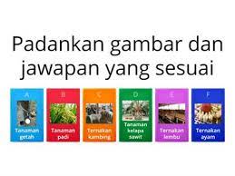 Beberapa tanaman ditanam untuk tujuan domestik seperti pisang, kelapa, durian, nanas, beras, rambutan. Kegiatan Pertanian Ekpaideytikes Drasthriothtes