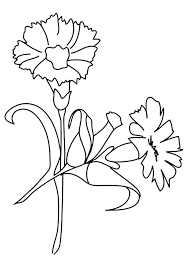We have chosen the best lily coloring pages which you can download online at mobile, tablet.for free and add new coloring. Parentune Free Printable Lily Coloring Pages Lily Coloring Pictures For Preschoolers Kids
