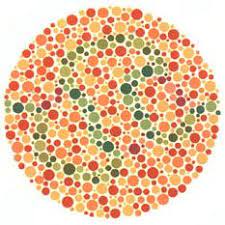 pin on ishihara plates