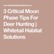 3 Critical Moon Phase Tips For Deer Hunting Hunting Deer