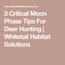 3 critical moon phase tips for deer hunting hunting deer