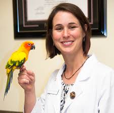 No matter what form your companion takes our knowledgeable staff at bowman animal hospital and cat clinic are knowledgeable in many different species' needs, so your unique. The Vets