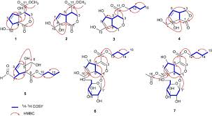 Image result for Morinda asteroscepa