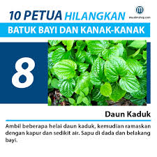 Petua hilangkan batuk bayi, tanjung karang. Pin Di Imuslimshop