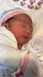 Tyrllawn Cristal ( Chloe ) born in 2016 by Swffryd Madog Mai and Tyrllawn  Chardonnay (Hywi the Colonel) And her 4 fillies Bottom left: DGF Little  Cristal born in 2021 by Blaidd