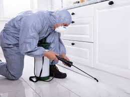 Residential Pest Control Services | Vancouver & Lower Mainland