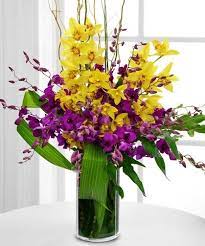 Pin On Orchid Arrangements And Plants