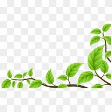 Check spelling or type a new query. Logo Daun Kratom Hd Png Download 1012x707 3522126 Pngfind