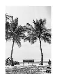 Black And White Bench Bench On Beach Poster In 2020 Beach Posters Black And White Posters Poster