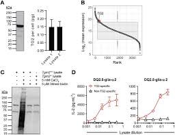 A systematic review and metaanalysis. Evidence That Pathogenic Transglutaminase 2 In Celiac Disease Derives From Enterocytes Gastroenterology