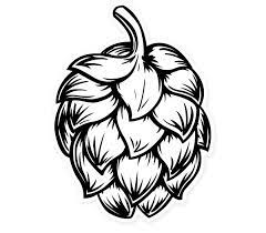 Es oriunda de europa, asia occidental y norteamérica. Tatuajes De Cerveza Lupulo Cerveza Fabricacion De Cerveza