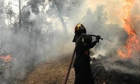 Ο καπνός από τη φωτιά στο λουτράκι έχει φθάσει έως την αττική και είναι ορατός σε πολλές περιοχές της αθήνας. Fwtia Twra Sthn Korin8ia Dhmarxos Loytrakioy Sto Newsbomb Gr Terastio To Metwpo Den Mazeyetai Newsbomb Eidhseis News