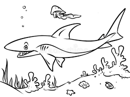 The editors of publications international, ltd. Coloring Ocean Stock Illustrations 15 062 Coloring Ocean Stock Illustrations Vectors Clipart Dreamstime