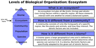 Ecosystem Ecology Definition Examples Expii