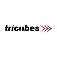 Datasonic group berhad was incorporated under the act on 13 march 2008 as a public limited company. Tricubes Berhad Linkedin