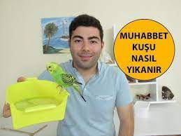 muhabbet kusu panosundaki pin