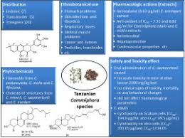 Image result for Commiphora mombassensis