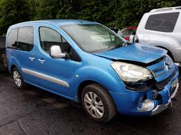 Image result for Brun Guaranja 2011 Citroen