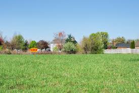 The Do S And Don Ts Of Buying Vacant Land In 2020 How To Buy Land Vacant Land Real Estate Buying