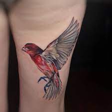 Purple Finch I Did On The Back Of A Thigh Today Done With Inkjecta Flite V2 Tattoos Finch Tattoo Arm Tattoo