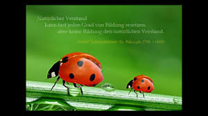Sprüche Und Zitate Goethe Gut Deutsch Sprechen