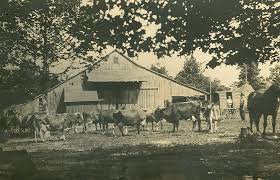 J C Bernhardt Family: 2010