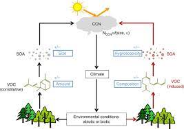 The impact factor (if) or journal impact factor (jif) of an academic journal is a scientometric index calculated by clarivate that reflects the yearly average. Environmental Conditions Regulate The Impact Of Plants On Cloud Formation Nature Communications