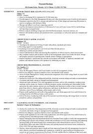 Your dream job awaits, make your move. Risk Credit Analyst Resume Samples Velvet Jobs