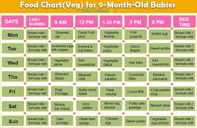 9 Month Old Baby Feeding Chart Di 2020