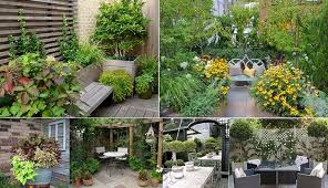 Pin On Garden