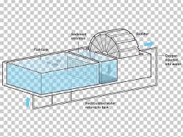 Fish Farming Shrimp Farming Agriculture Aquaponics Png Clipart Agriculture Angle Animals Aquaculture Aquaculture Of Catfish Free