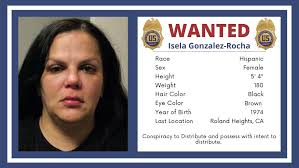 All jokes don't take me seriously. Dea Hq On Twitter Fugitivefriday Dealosangeles Is Searching For Isela Gonzalez Rocha Know Her Call The Usmarshalshq At 1 877 926 8332 Or Email The Tip Line Usms Wanted Usdoj Gov Https T Co 1zgdkztgj5 Https T Co Guiqooh8n7