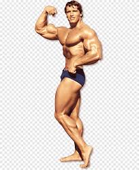 Joseph baena macht seinem vater arnold schwarzenegger alle ehre. Arnold Schwarzenegger Png Images Pngegg