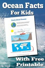 Try these fun trivia questions about sea creatures. Ocean Facts For Kids Itsybitsyfun Com