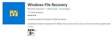 Check the navigation bar and find there. Cara Mengembalikan Data Yang Hilang Di Windows 10 Dengan Windows File Recovery Bacolah Com