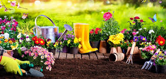 Wenn alles gut geht, wird es im juni die ersten frühkartoffeln geben. Gartenarbeiten Fruhling Mit Unserer Checkliste Mit 11 Tipps Vergisst Man Nichts