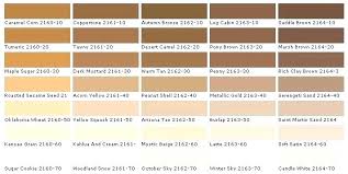 Shades Of Brown Albnews Info