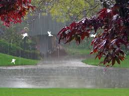 Reem Writes A Rainy Day Rain Wallpapers Rain Photography Beautiful Nature