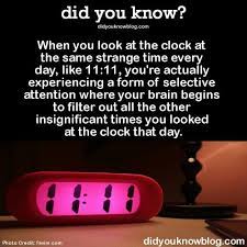 Pin By Nikki Roberds On Did Ya Know Wtf Fun Facts Fun Facts Numerology