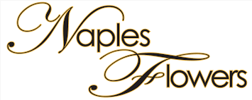 Autumn flowers from midtown flowers will perfectly convey your best wishes for the season. Naples Flowers Flower Delivery In Naples Fl