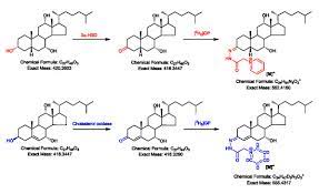 An impeccable oasis in byron bay australia hamptons style homes. Molecules Free Full Text Developing An Enzyme Assisted Derivatization Method For Analysis Of C27 Bile Alcohols And Acids By Electrospray Ionization Mass Spectrometry Html