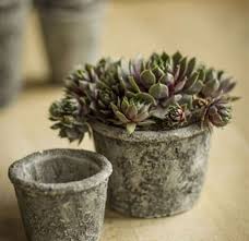 Vintage mid century large concrete greek key grapes urn round garden planter. Concrete Pots With Distressed Motif