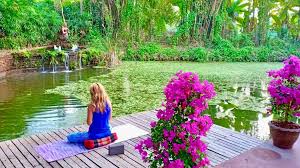 Looking for chiang mai yoga classes? New Chiang Mai Yoga Retreat 2020 Yoga Dr Amanda Bowen